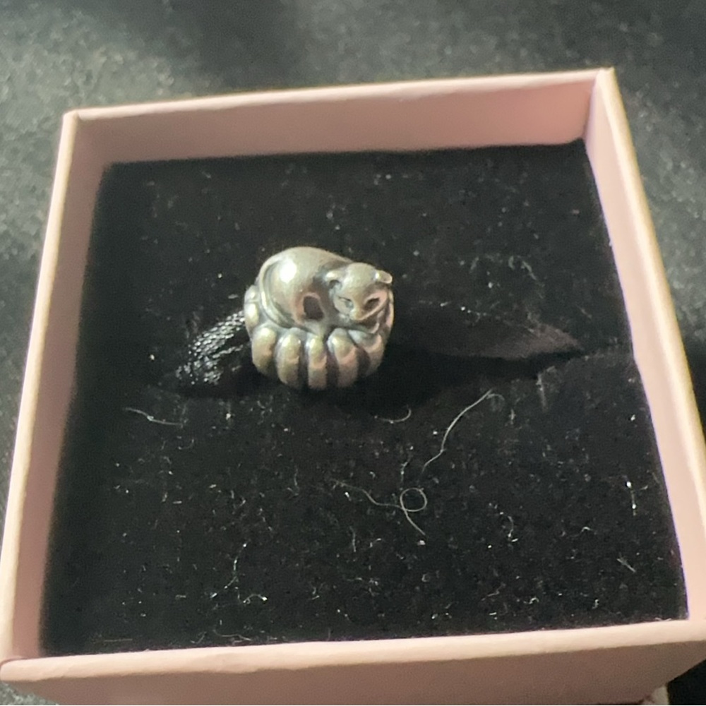Rare and discounted Pandora Sleeping Cat Charm